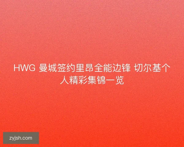 HWG 曼城签约里昂全能边锋 切尔基个人精彩集锦一览